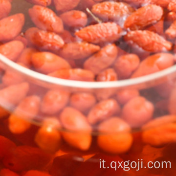 Le bacche di goji superfood organiche di alimentazione di fabbrica